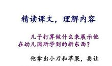 苹果里的星星读后感