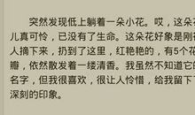 本来我可以面对