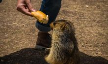 一次心灵的洗礼