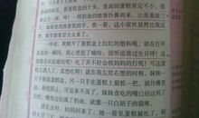 一件后悔的事作文