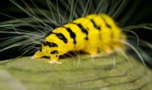 破茧成蝶的美丽