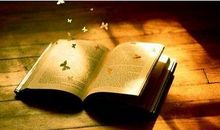 藏在话语里的关爱