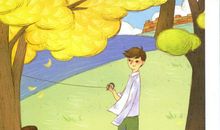 独臂男孩读后感