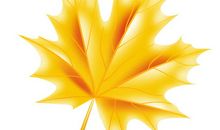 那一刻金色一片