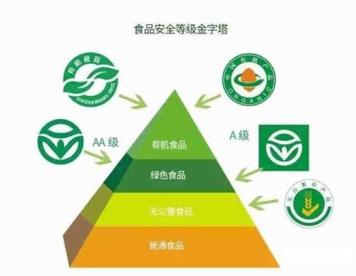 十年后的绿色环境