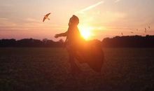 珍惜所拥有的风景