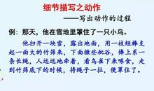 四年级上册生活万花筒的作文