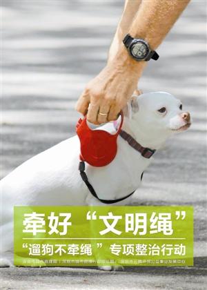 文明狗