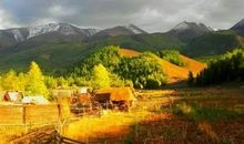 好风景火了叔叔的农家乐