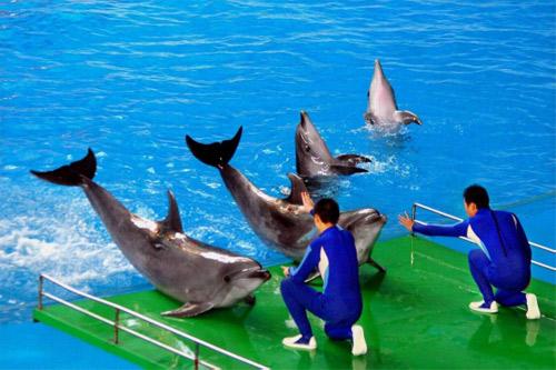 玩极地海洋世界