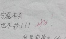 一份什么的作业