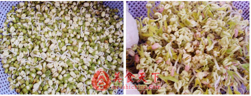 豆芽长成一个故事