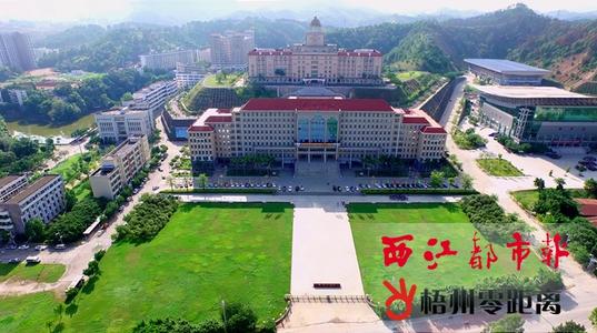 我心中的校园风景