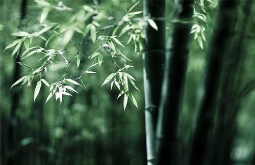 生活需要谦卑