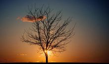 从大自然中看到的美