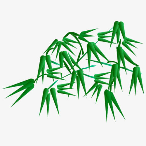 竹描述