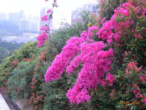 周围风景也很美