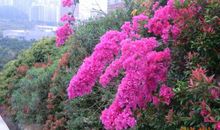 身边的风景也美丽