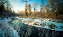 在童话世界中感悟