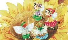 都是调皮惹的祸