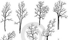 那个不同寻常的冬天