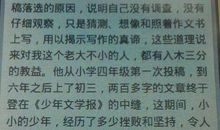 斗努的春天读后感