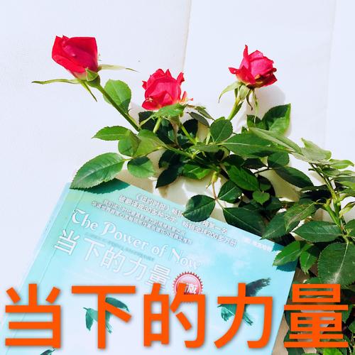 把握当下