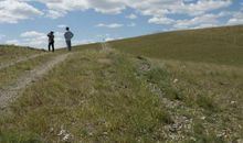 那片凋落的墨绿