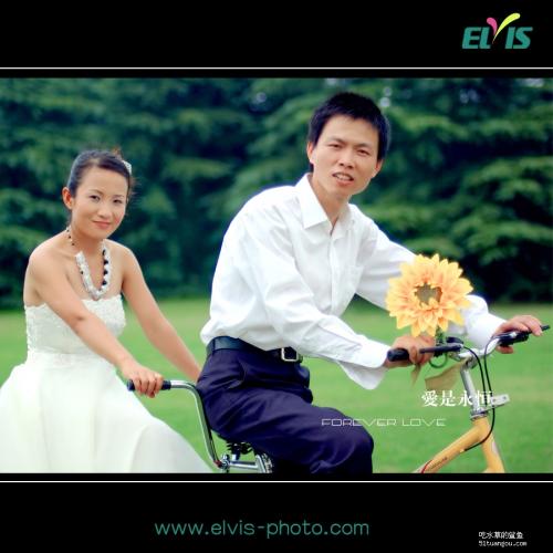在树林里窃窃私语