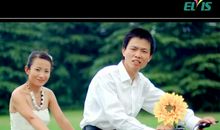 树林里的悄悄话