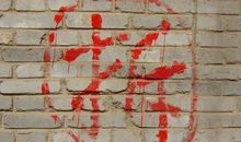 写一张照片的回忆