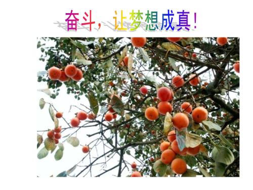 努力使梦想成真