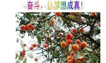 努力，让梦想成真