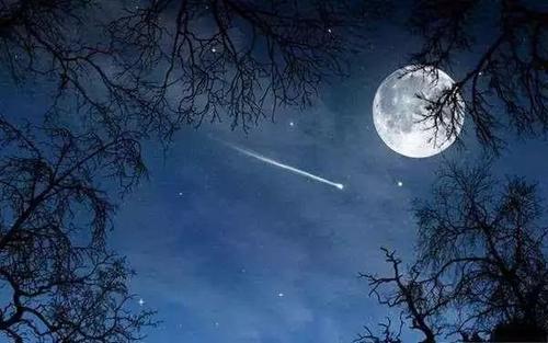 美丽的月夜