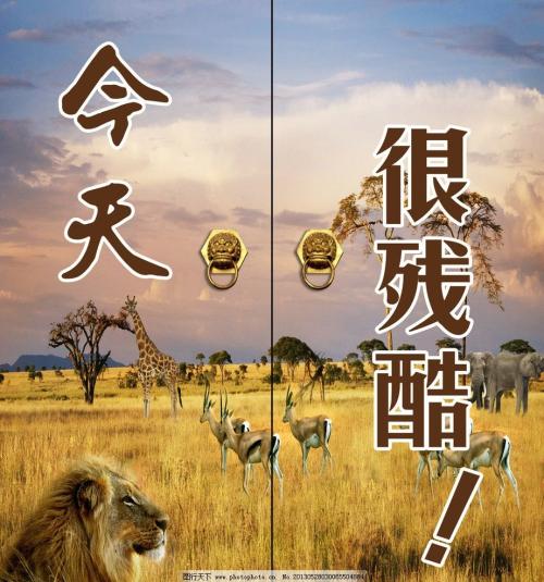 希望现实就是现实