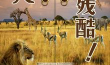 希望现实就是现实