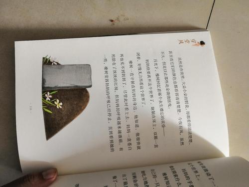 看完之后