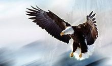 放飞梦想超越自我