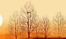 升起心中的阳光