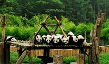 上海野生动物园