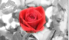 今年春天我很忧伤