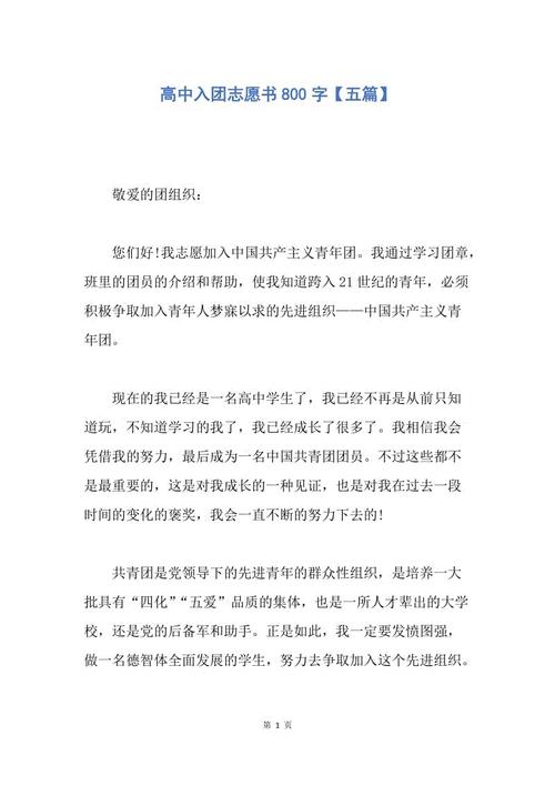 800字高中申请表（1）