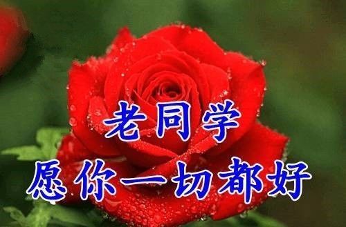谢谢同学