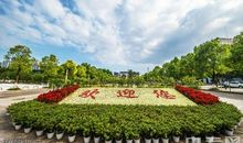 我爱校园里的花坛