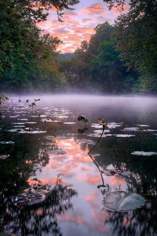 隐藏在心中的风景