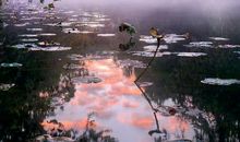 藏在心中的风景