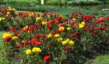 留在心里的温暖