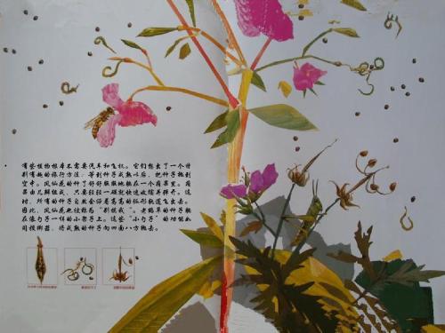 种子的旅行