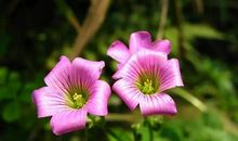 那时我鼻子一酸