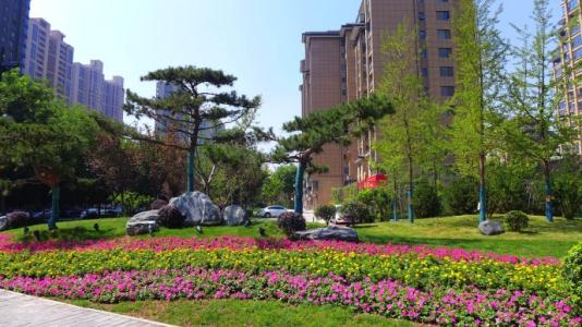 花坛